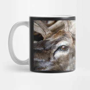 Caribou Head Mug